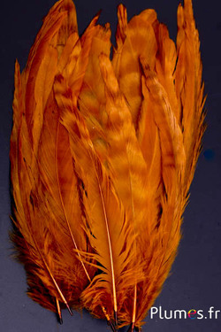 Coq fouet chinchilla blanchi - 13-18 cm - or aztèque brun